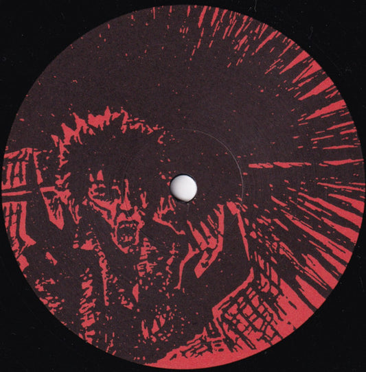 The S-Haters : White Noise (12")