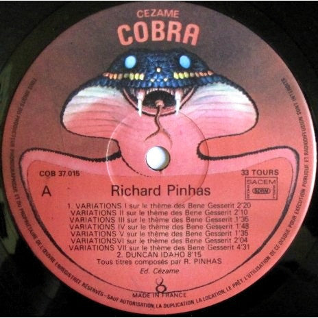 Richard Pinhas : Chronolyse (LP, Album)