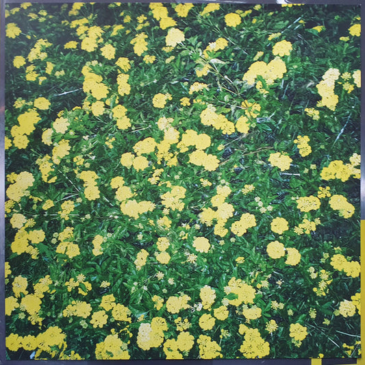 WAAX : Wild & Weak (12", EP, Ltd, Cle)