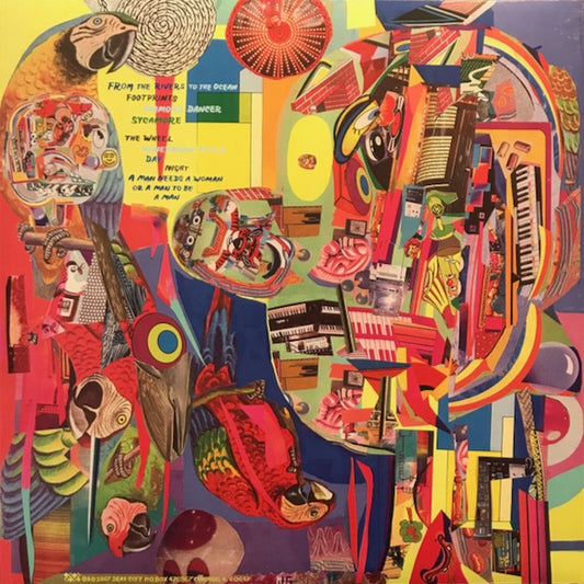 Bill Callahan : Woke On A Whaleheart (LP, Album, RE)