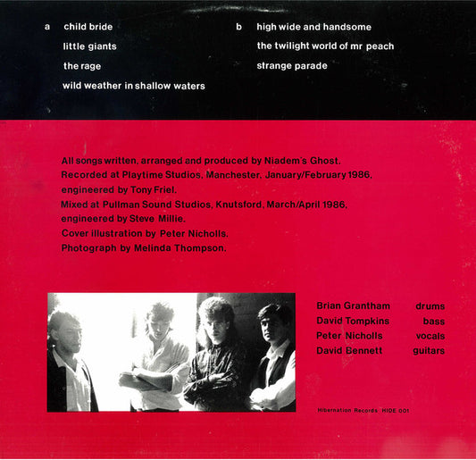 Niadem's Ghost : In Sheltered Winds (LP, Album)