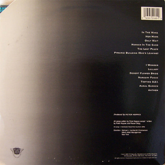 Peter Koppes : From The Well (LP, Album)