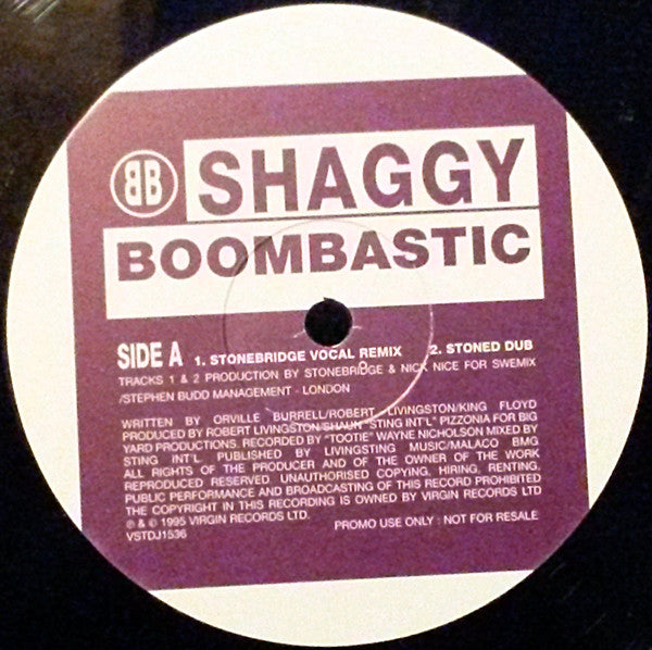 Shaggy : Boombastic (12", Promo)