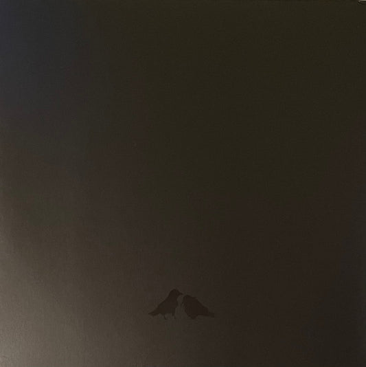 Sigur Rós With Steindór Andersen, Hilmar Örn Hilmarsson And María Huld Markan Sigfúsdóttir : Odin's Raven Magic (2xLP, Album)