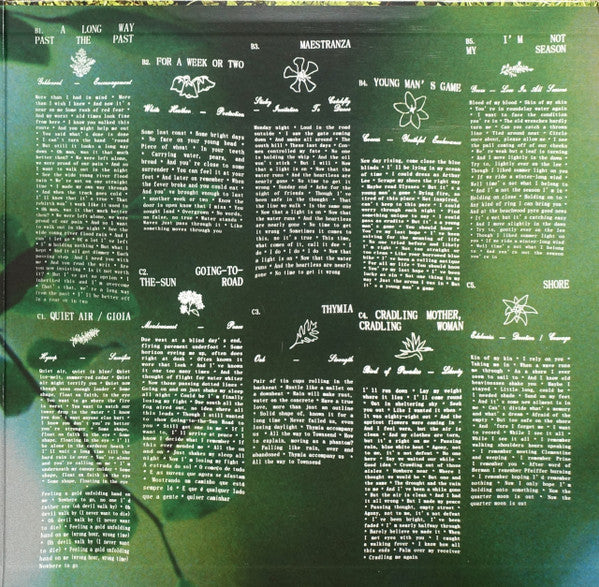 Fleet Foxes : Shore (LP + LP, S/Sided, Etch + Album, M/Print)
