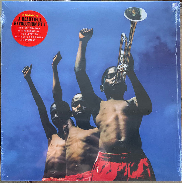 Common : A Beautiful Revolution (Pt 1) (LP, Album)