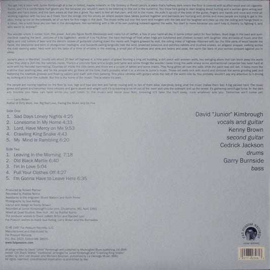 Junior Kimbrough And The Soul Blues Boys : Sad Days Lonely Nights (LP, Album, RE)