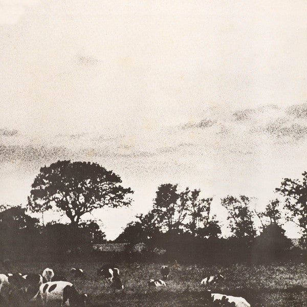 Pink Floyd = Pink Floyd : Atom Heart Mother = 原子心母 (LP, Album, Tex)