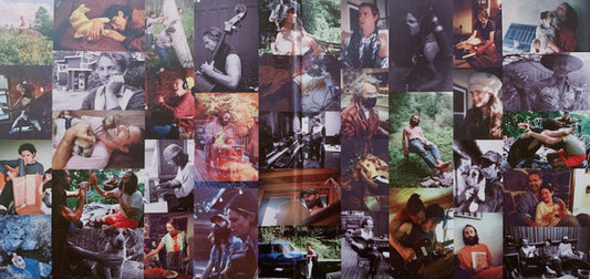 Big Thief : Dragon New Warm Mountain I Believe In You (2xLP, Album)