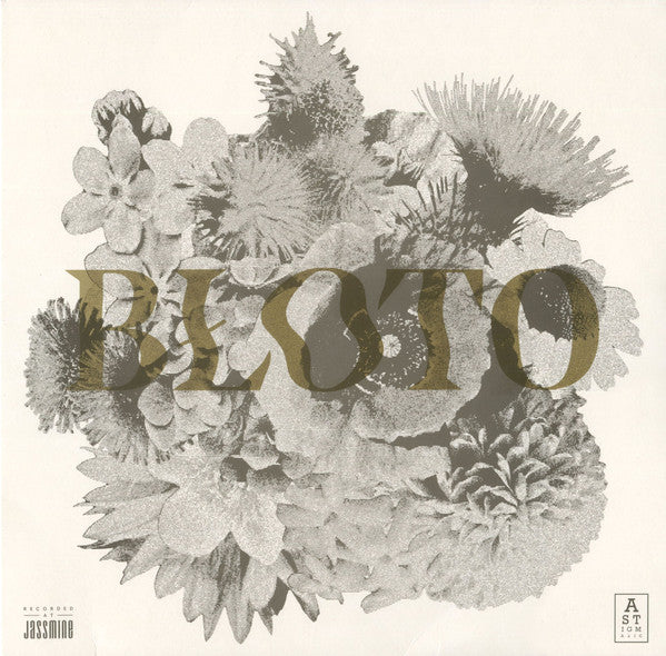 Błoto (2) : Kwiatostan (LP, Album, RP)