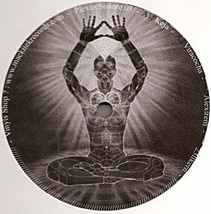 Various : Plexus Sonore 03 (12")