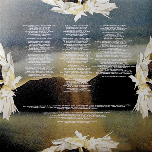 Kokoroko : Could We Be More (LP, Album)