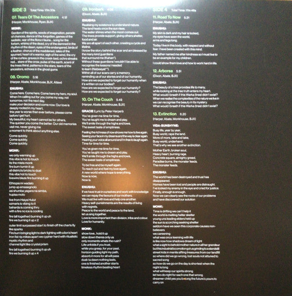 Black Jesus Experience : Good Evening Black Buddha (2xLP, Dou)