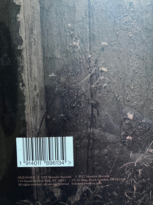 Belle & Sebastian : Late Developers (LP, Album, Opt)