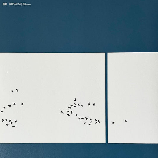 Felbm : Cycli Infini (LP, Album)