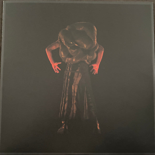 Genesis Owusu : Struggler (LP, Album, Cle)