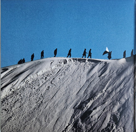 James Blake : Playing Robots Into Heaven (LP, Album)