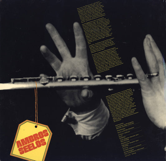 Ambros Seelos : Ambros Seelos (2xLP, Album)