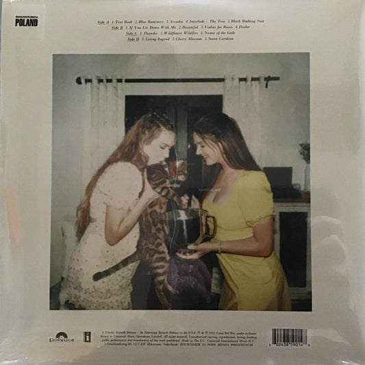 Lana Del Rey : Blue Banisters (2xLP, Album, RP)