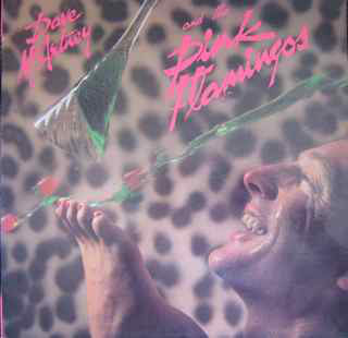 Dave McArtney & The Pink Flamingos : Dave McArtney & The Pink Flamingos (LP, Album)