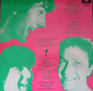 Dave McArtney & The Pink Flamingos : Dave McArtney & The Pink Flamingos (LP, Album)