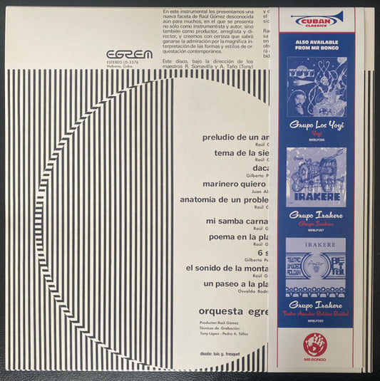 Raúl Gómez : Instrumental (LP, Album, RE)