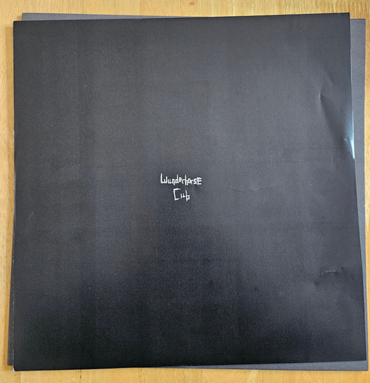 Wunderhorse : Cub (LP, Album, Bla)