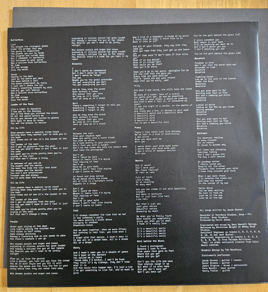 Wunderhorse : Cub (LP, Album, Bla)