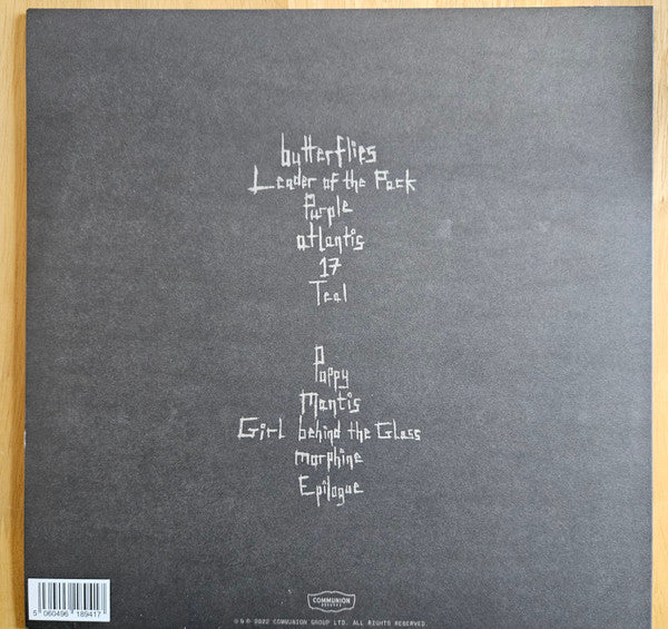 Wunderhorse : Cub (LP, Album, Bla)