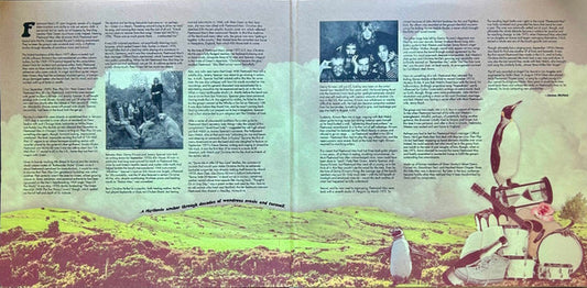 Fleetwood Mac : Best Of 1969-1974 (2xLP, Comp, 180)