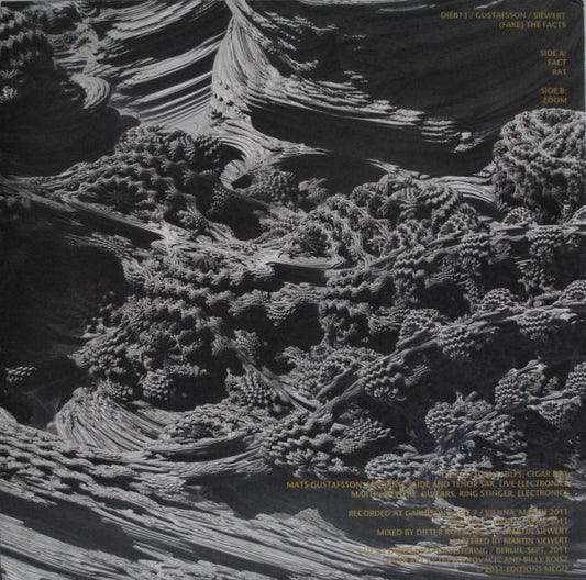 (Fake) The Facts - Dieb13 / Mats Gustafsson / Martin Siewert : (Fake) The Facts (LP)