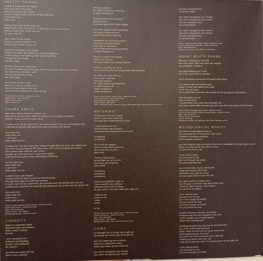 Big Thief : Capacity (LP, Album, RE, Eco)