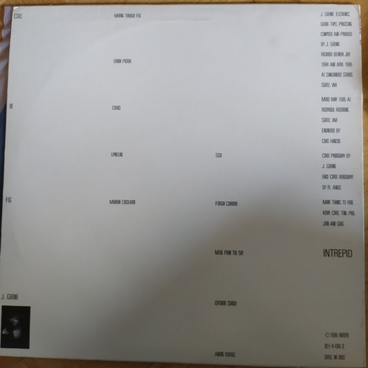 Jeff Greinke : Cities In Fog (LP, Album)