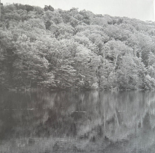 Mumford & Sons : Rushmere (LP, Album)