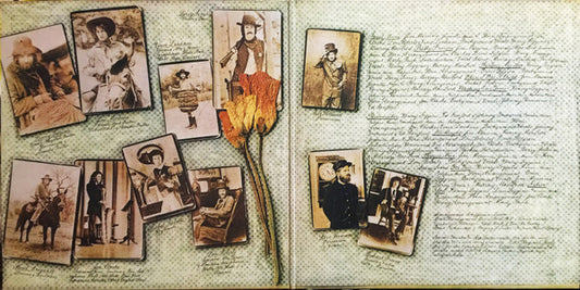 Loggins And Messina : Native Sons (LP, Album)