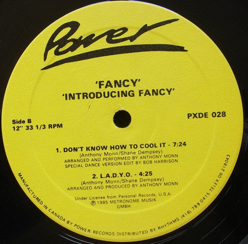 Fancy : Introducing Fancy (12", Comp, Yel)