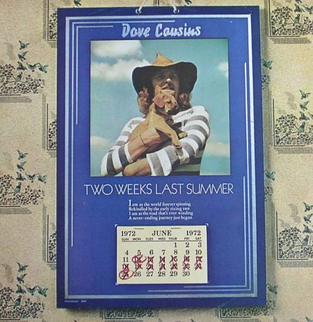 Dave Cousins : Two Weeks Last Summer (LP, Album, Promo)