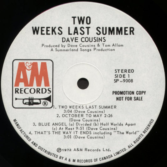 Dave Cousins : Two Weeks Last Summer (LP, Album, Promo)