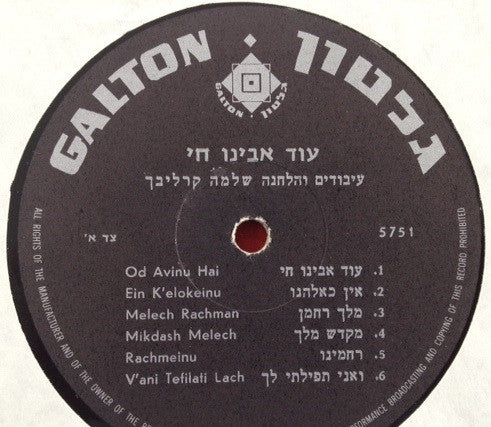 Rabbi Shlomo Carlebach : Rabbi Shlomo Carlebach Sings (LP)