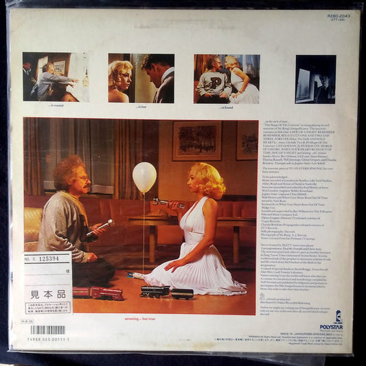 Various : Shape Of The Universe: A Souvenir Of Insignificance (LP, Album, Promo)