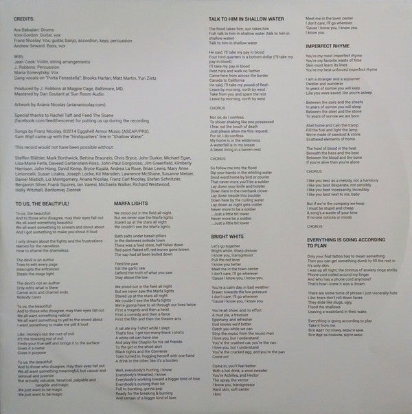 Franz Nicolay : To Us The Beautiful (LP, Ltd)