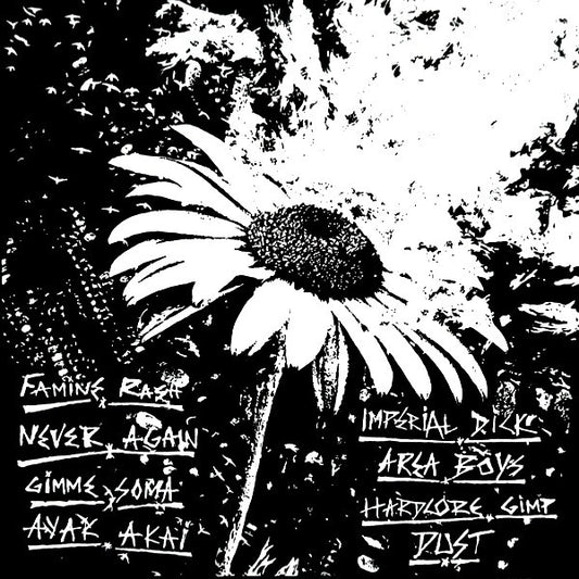 Soma Coma (2) : Dust (12")