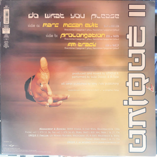 Unique II : Do What You Please (12", Maxi)