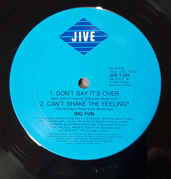 Big Fun : Can't Shake The Feeling (12", Maxi)