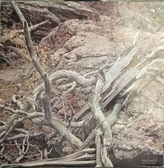 Pyotr Ilyich Tchaikovsky, Henry Lewis, Royal Philharmonic Orchestra : Tchaikovsky Symphony No. 6 In B Minor "Pathetique" (LP)