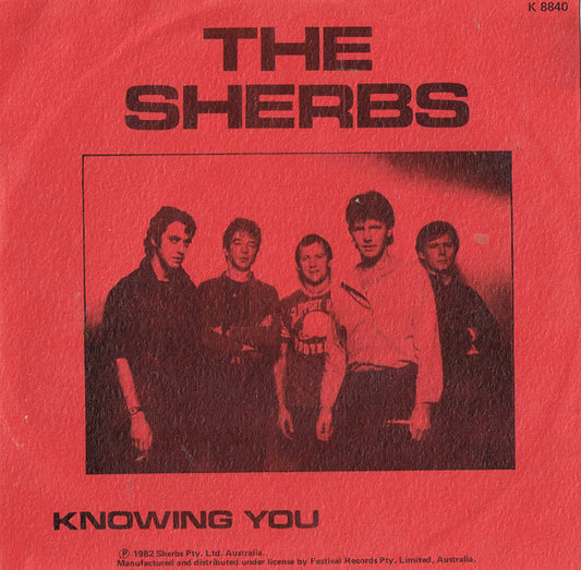 The Sherbs : Don't Throw It All Away (7", Single, Ltd, Blu)