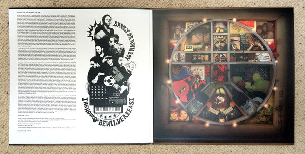 Badly Drawn Boy : The Hour Of Bewilderbeast (2xLP, Album, RE)