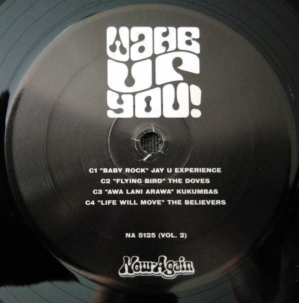 Various : Wake Up You! The Rise And Fall of Nigerian Rock 1972-1977 Vol. 2 (2xLP, Comp, Ltd, Boo)