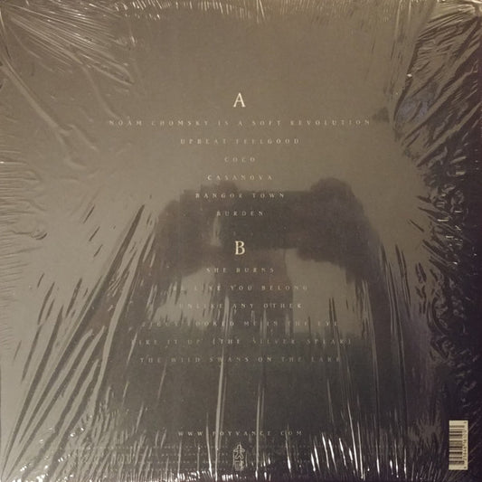 Foy Vance : The Wild Swan (LP, Album, Gat)