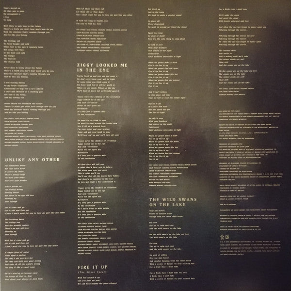 Foy Vance : The Wild Swan (LP, Album, Gat)